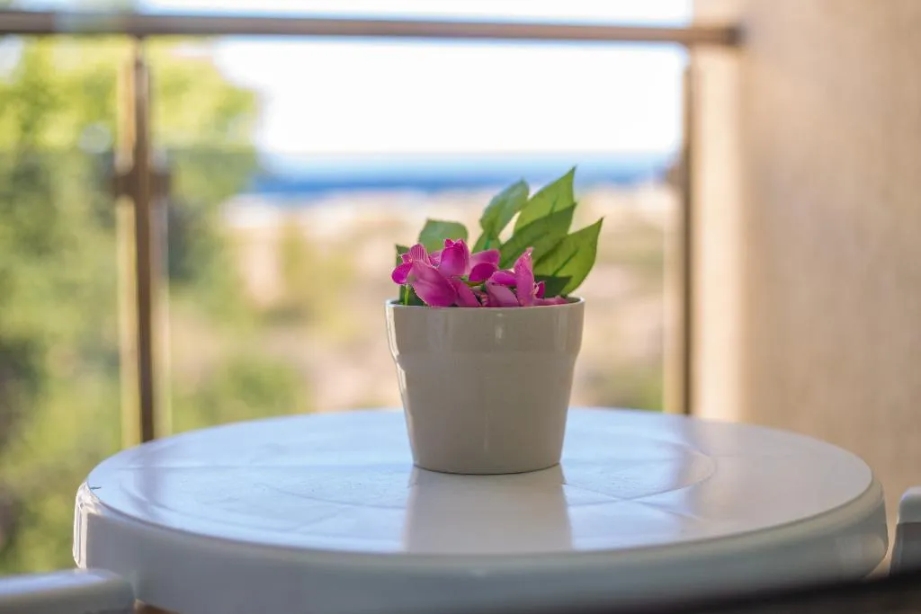 Room, Amfibia Beach Complex, Bourgas