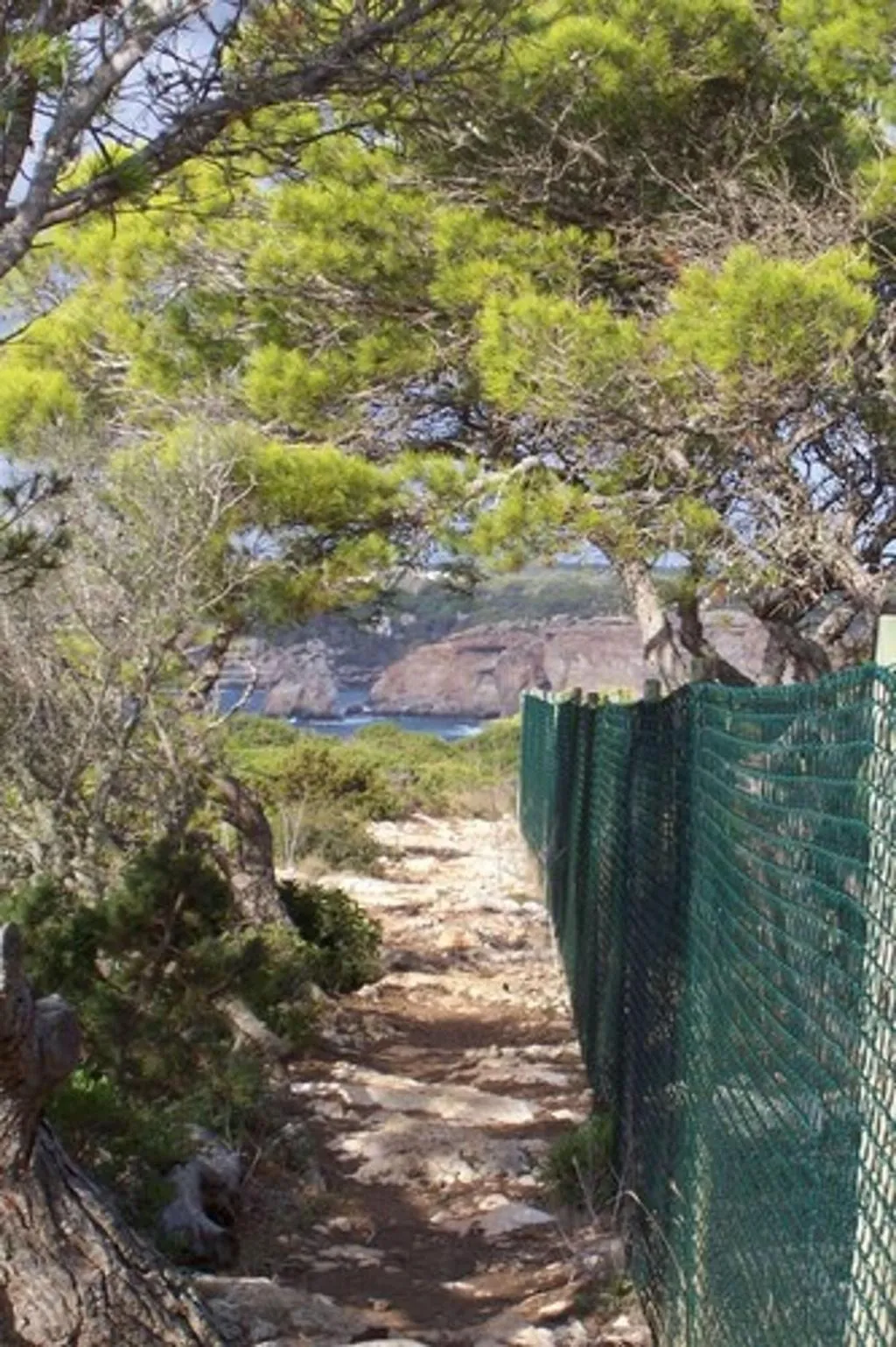 Sports and Entertainment, Hotel Cala Santanyi, Majorca