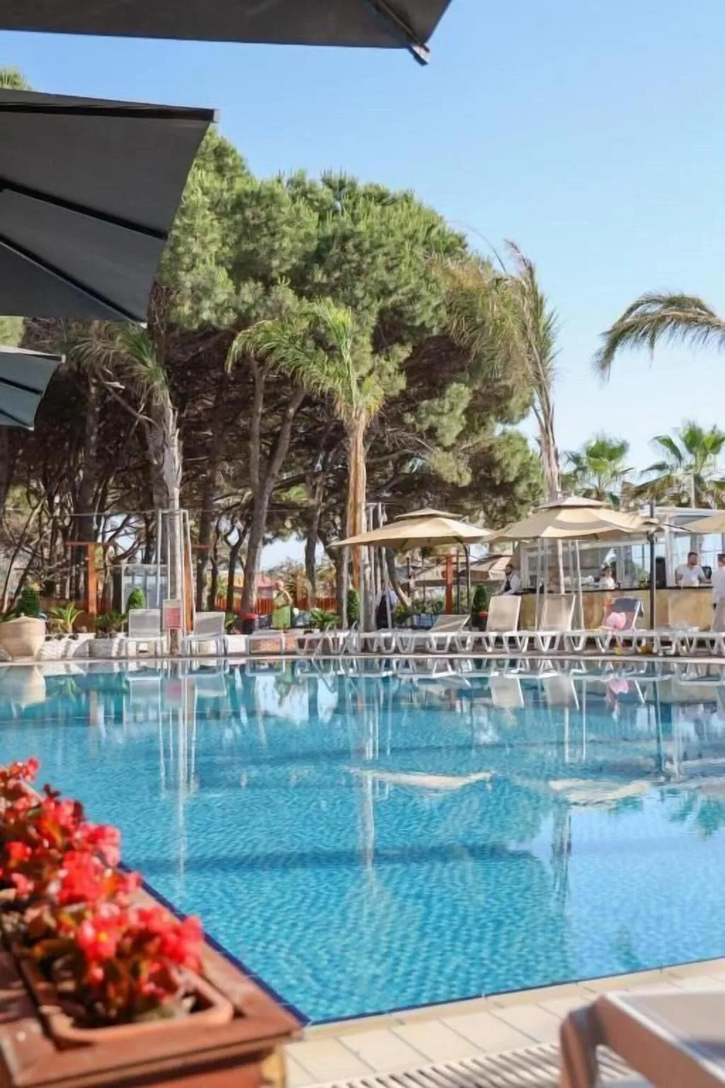 Sports and Entertainment, Vm Resort Spa, Kavaje
