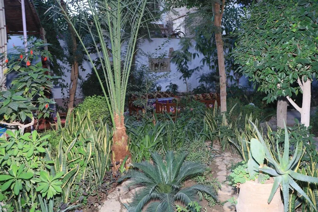 General view, Amon Hotel, Luxor