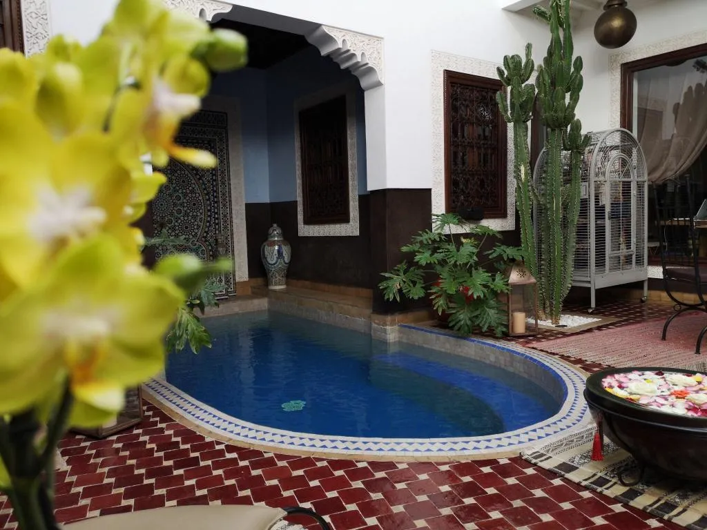 Pool, Riad Charme D'Orient - Adults Only, Marrakech