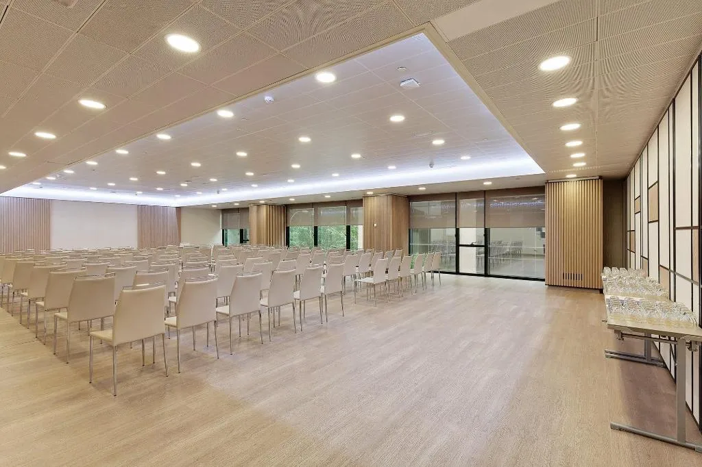 Conferences, Melia Avenida America, Madrid