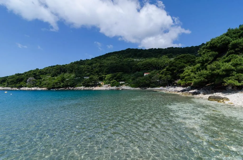 Beach, Apartments Franka Saplunara, Dubrovnik