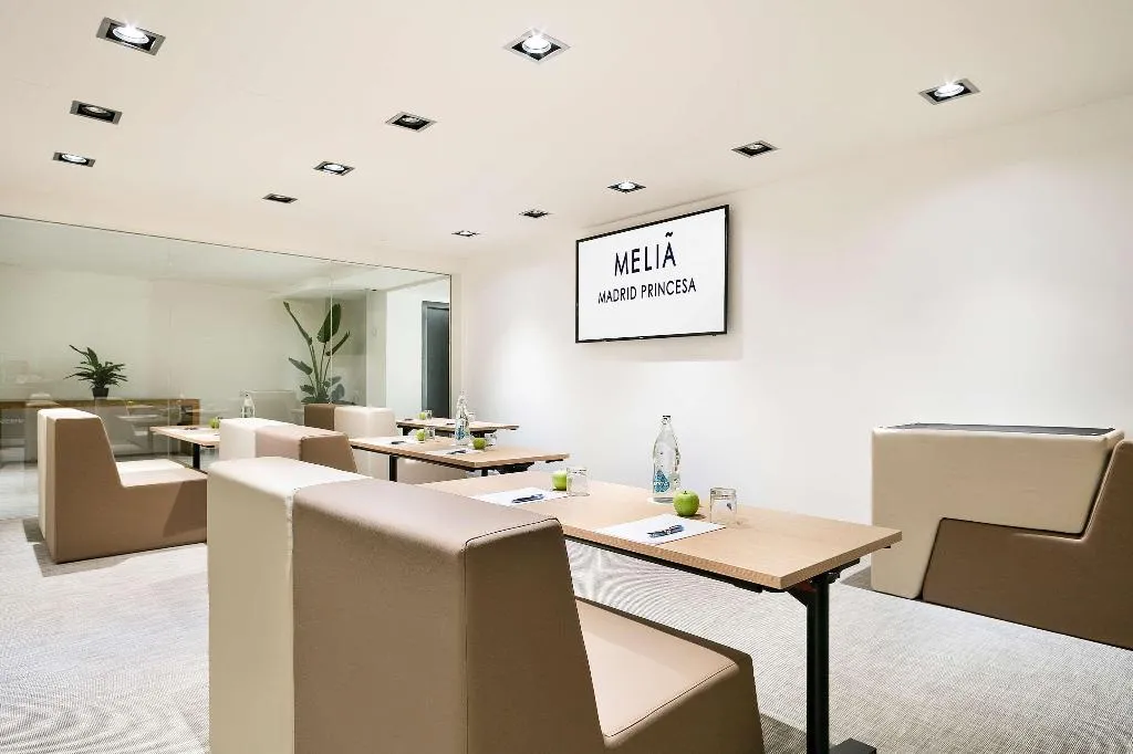Conferences, Melia Madrid Princesa, Madrid