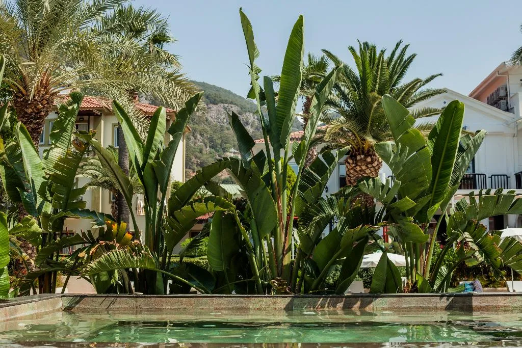 Pool, Karbelsun, Dalaman
