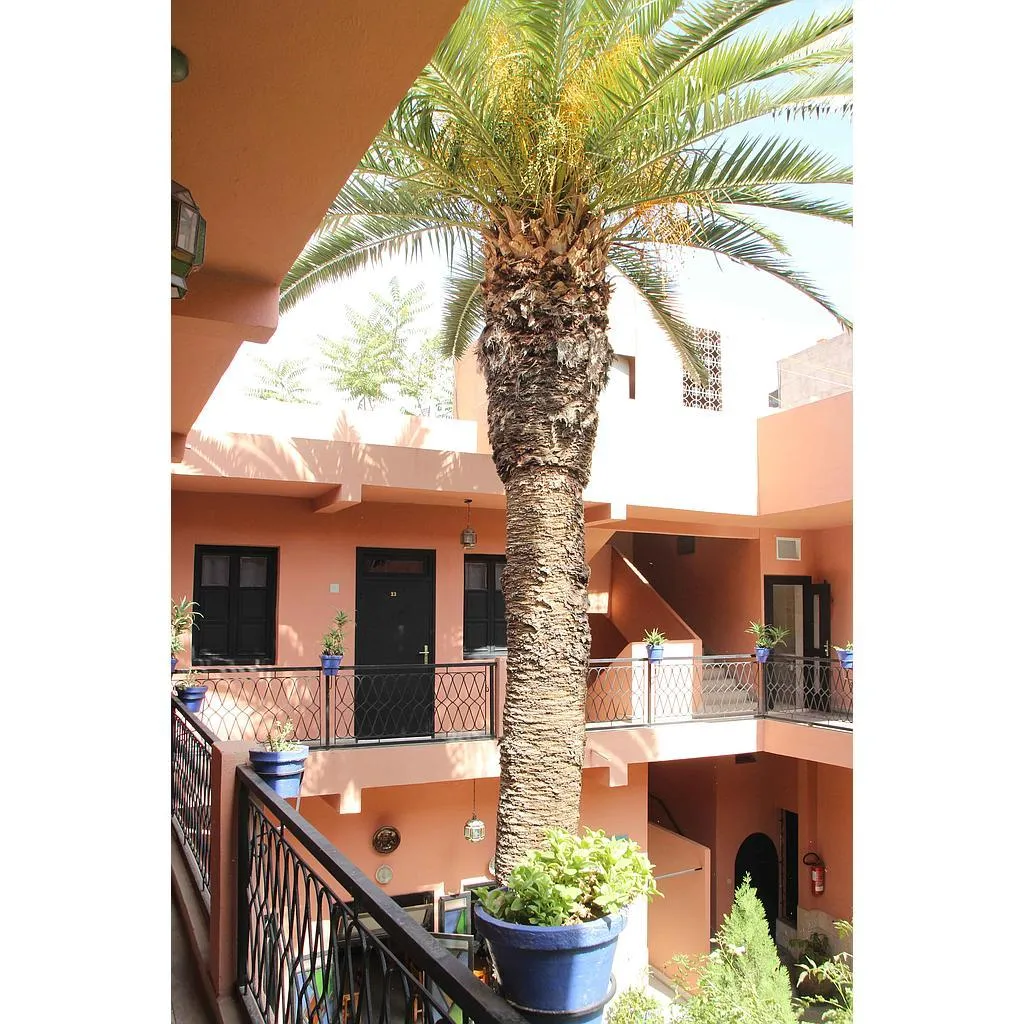 Terrace, Toulousain, Marrakech