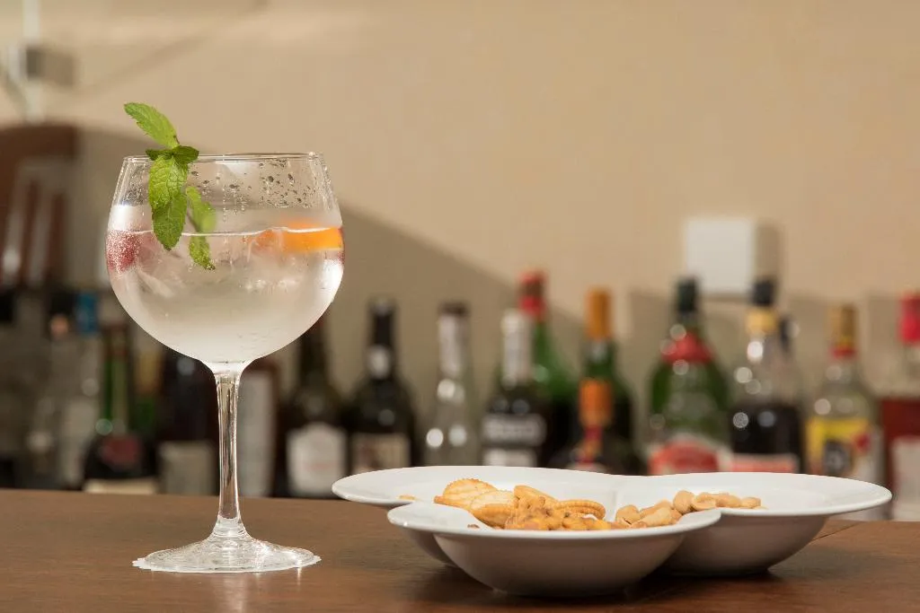 Bar, Luna Arcos Hotel Nature & Welness, Porto