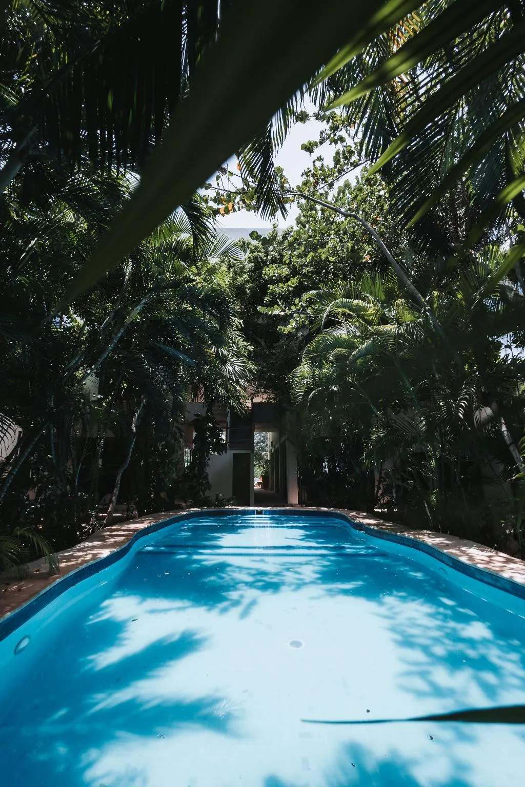 Pool, Hotel Casa Barbara Holbox, Cancun Area