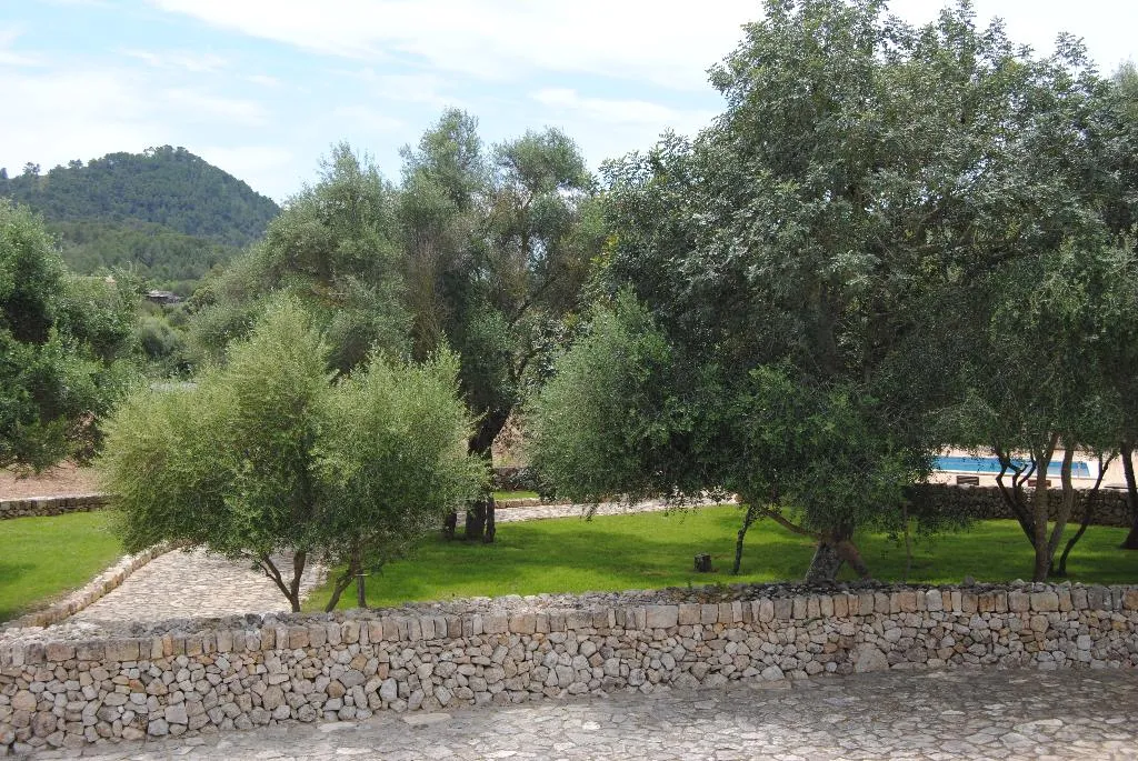 General view, Hotel Rural Es Riquers, Majorca