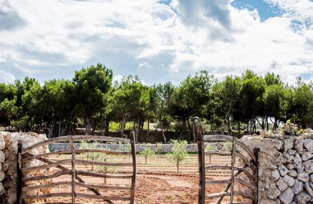 Sports and Entertainment, Rural Sant Joan de Binissaida, Menorca