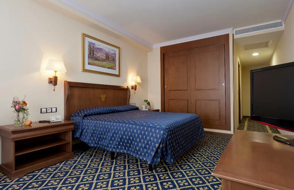 DOUBLE SINGLE USE STANDARD Room, Dorma Juan De Austria, Madrid
