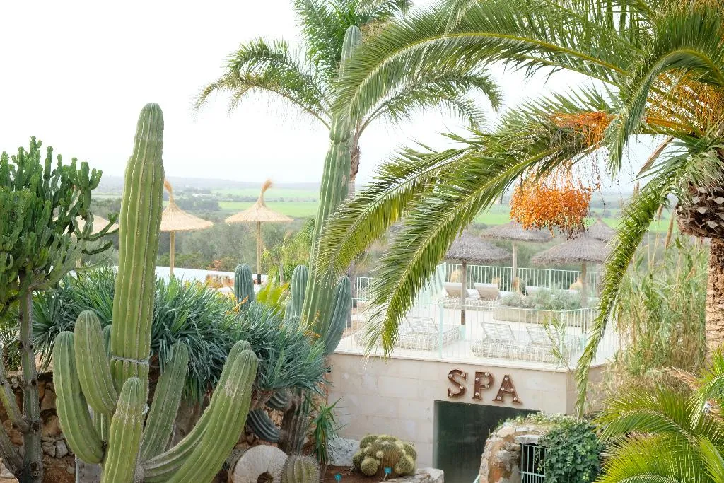 Sports and Entertainment, Es Turo, Majorca