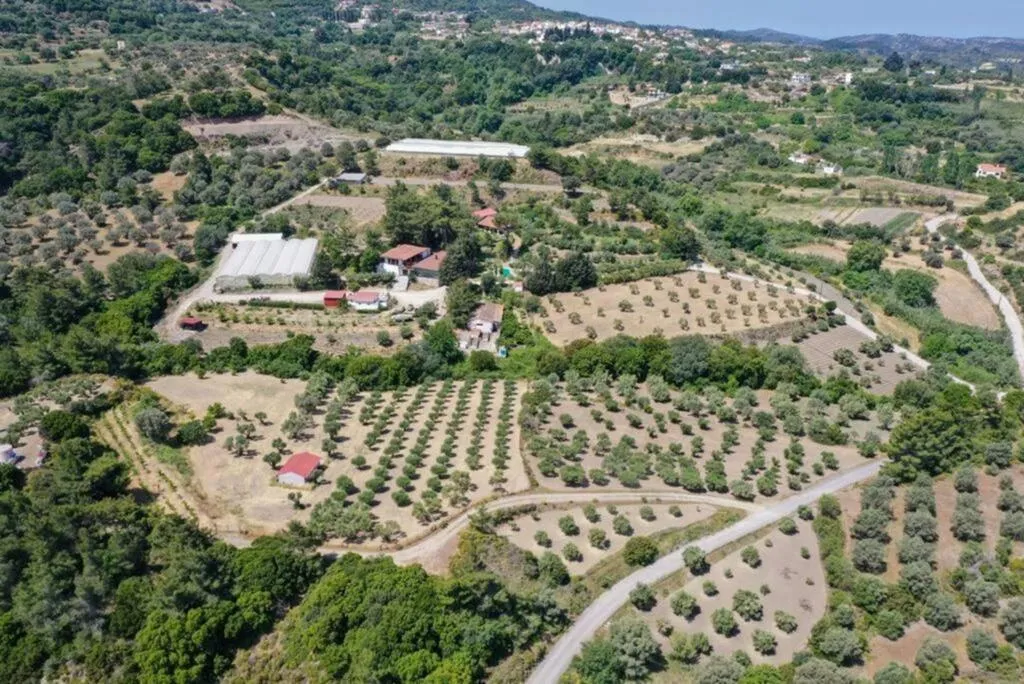 General view, Agrology Lux, Rhodes