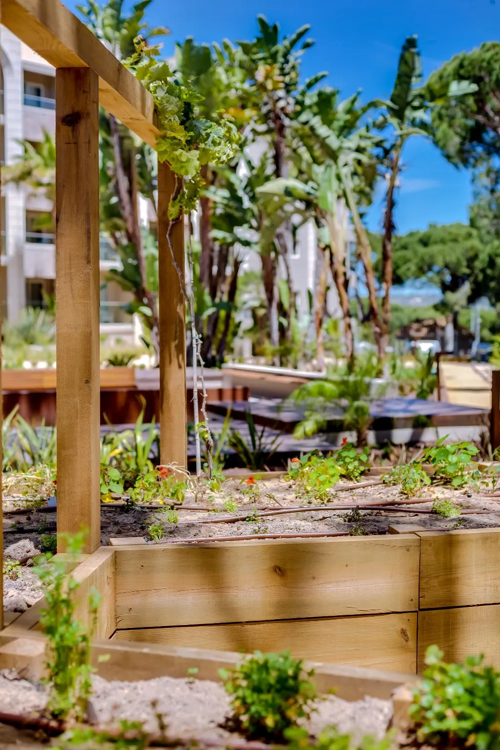 General view, Falesia Hotel – Adults Only, Algarve