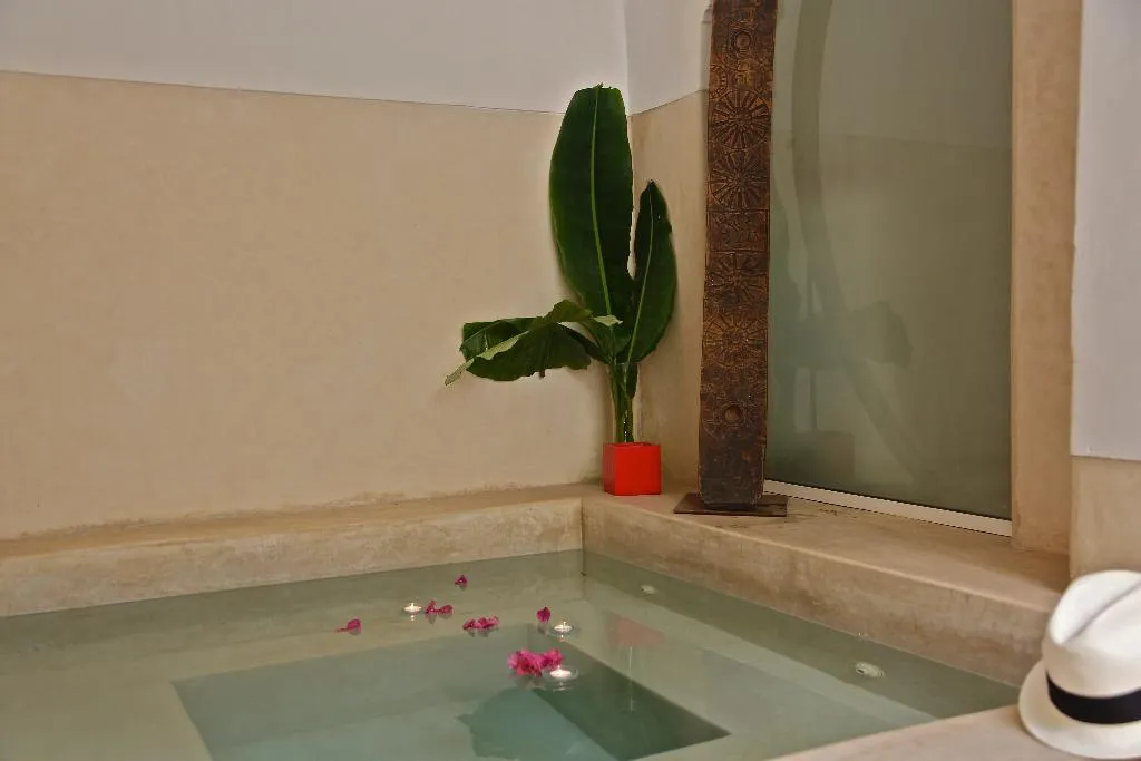 Pool, Riad Djebel, Marrakech
