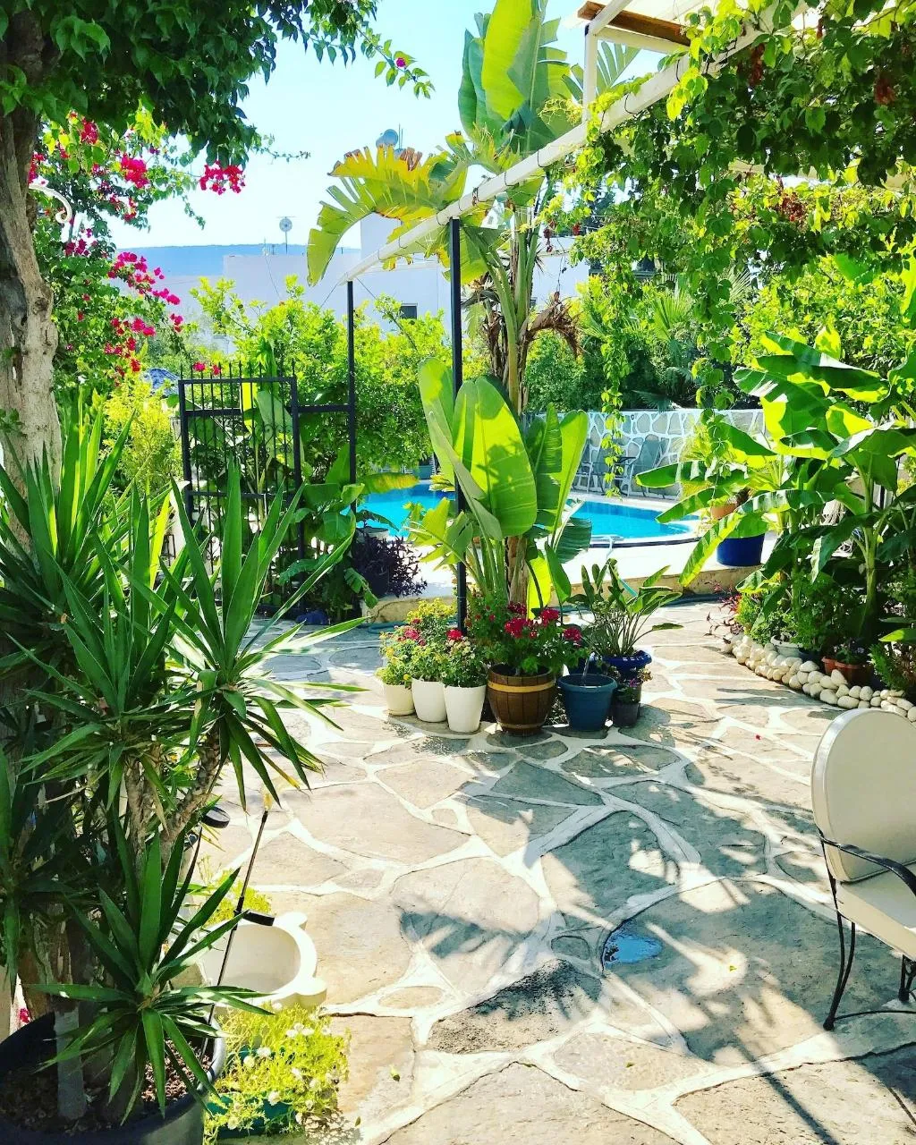 General view, Artunc Hotel Bodrum, Bodrum