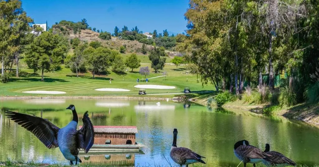 Sports and Entertainment, Sol Marbella Estepona Atalaya Park, Costa Del Sol