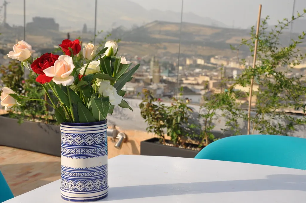 Terrace, Riad Braya, Fez