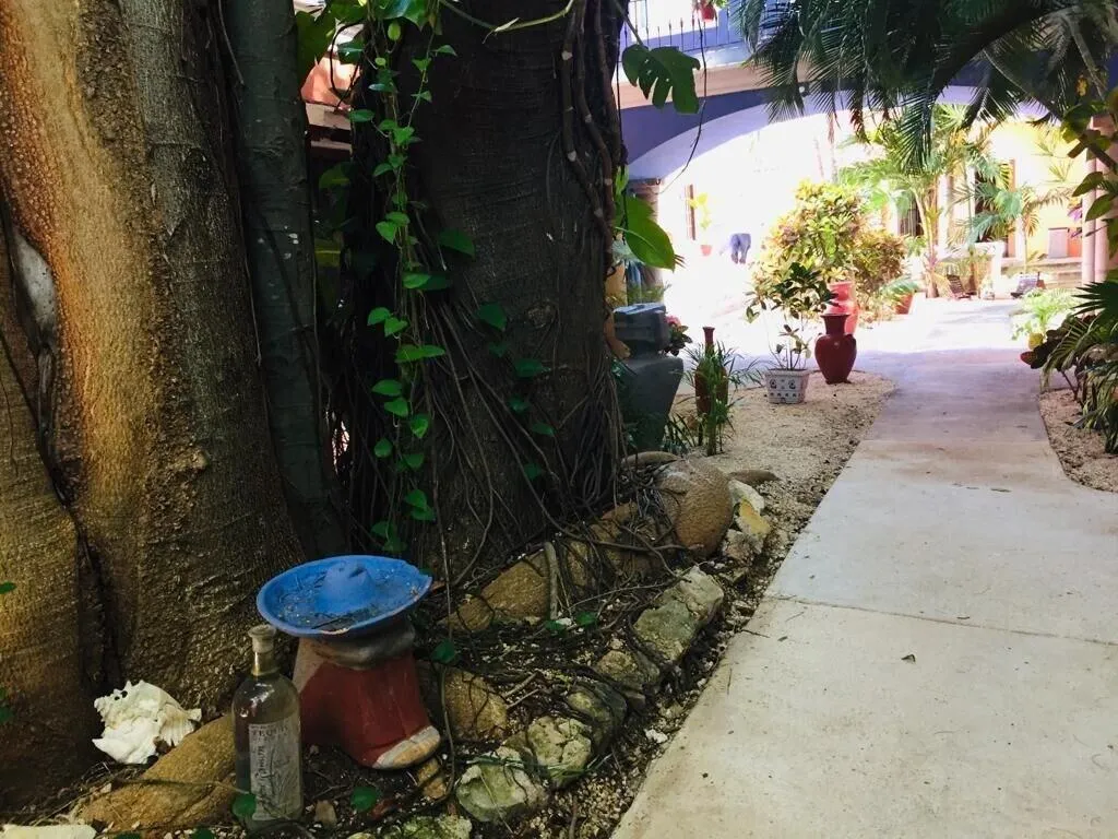 General view, Casa de las Flores, Playa Del Carmen