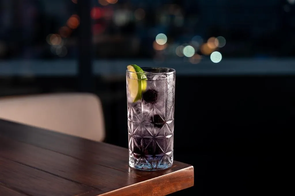 Bar, Radisson Blu Hotel, Dubai Media City, Dubai