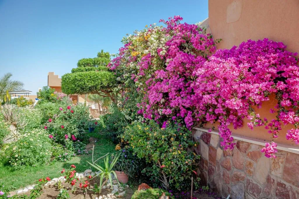 General view, Silver Beach Boutique Hotel, Red Sea Riviera