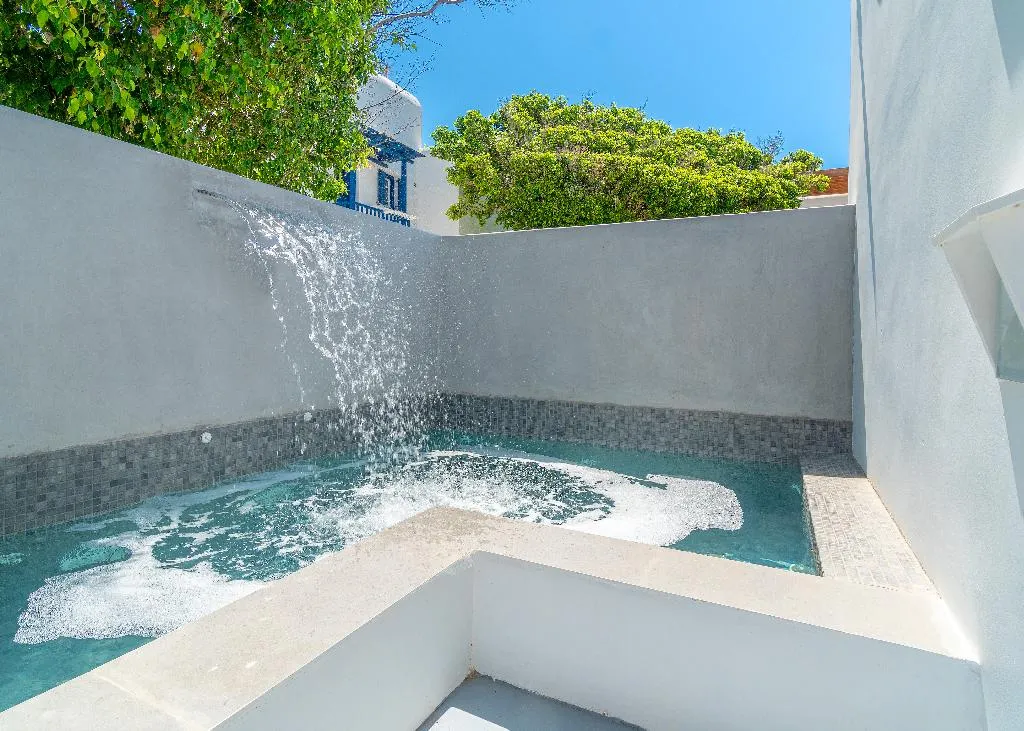JUNIOR SUITE WITH PRIVATE POOL Room, Omnia Mykonos Boutique Hotel & Suites, Mykonos