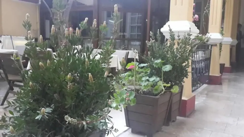 Terrace, Antikhan Hotel, Izmir