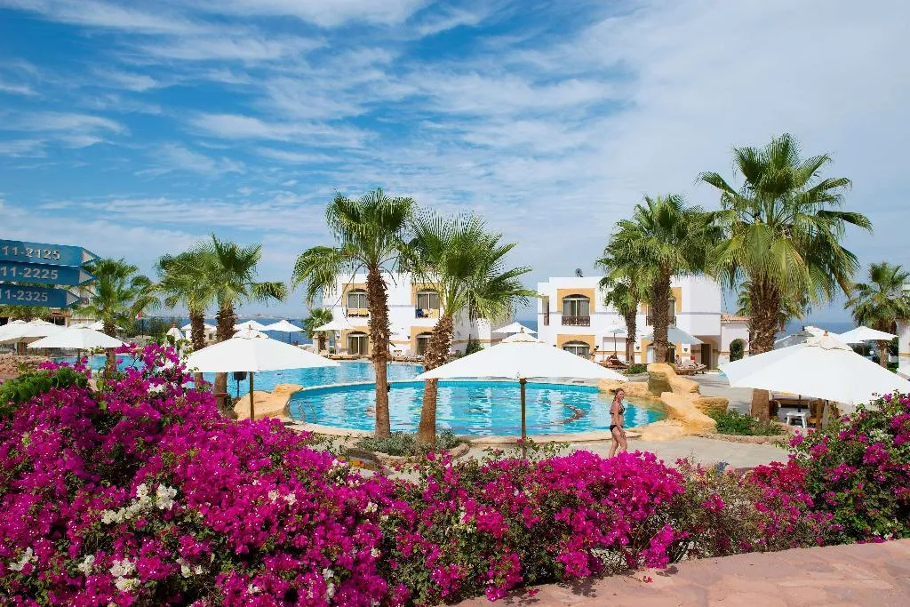 Pool, Amphoras Blu, Red Sea Riviera
