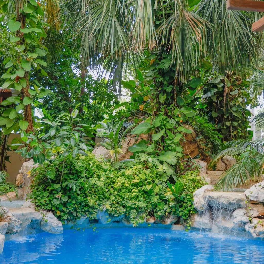 General view, Hul-Ku, Playa Del Carmen
