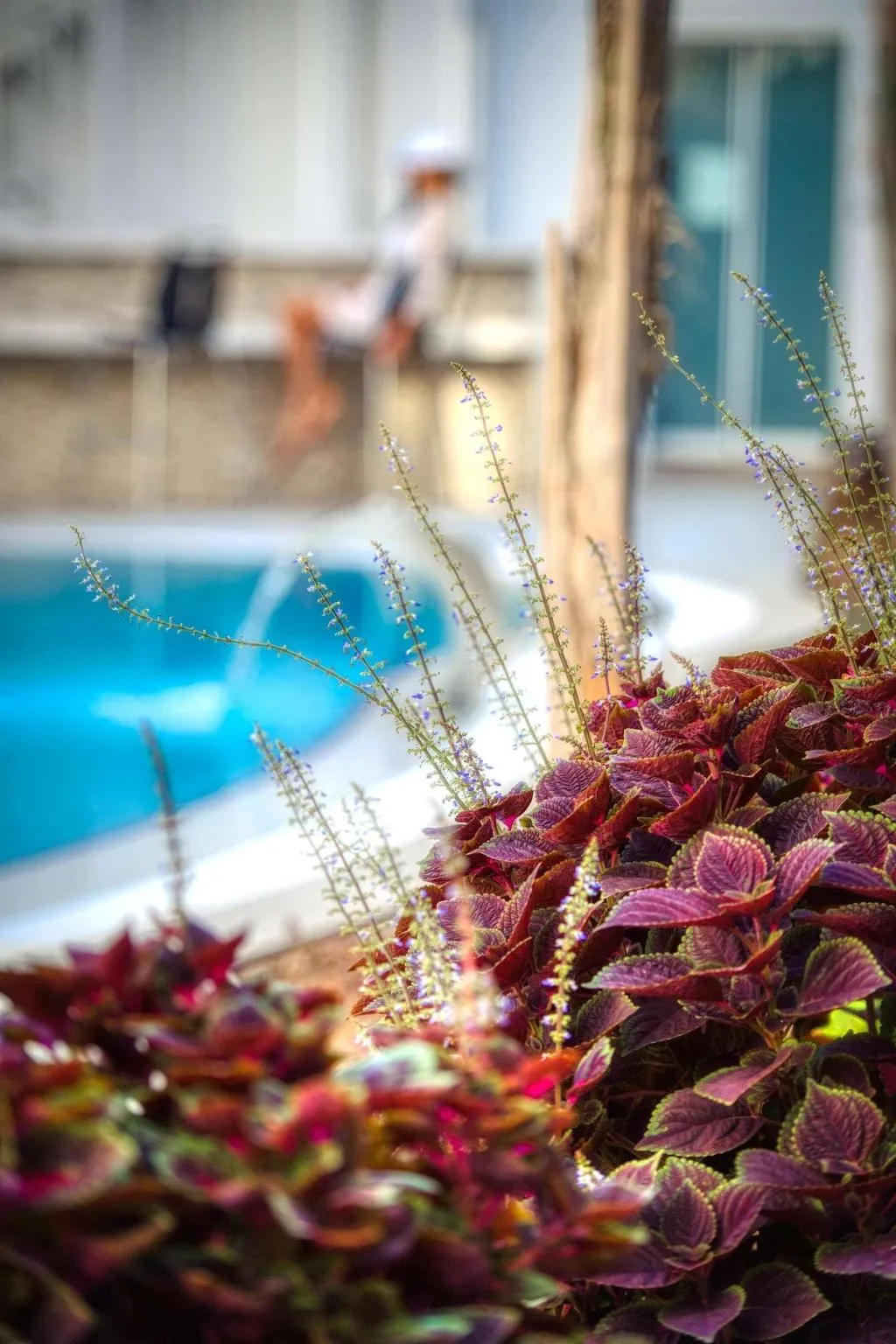 Sports and Entertainment, Sealife Lounge Hotel +18 Adult Only, Antalya
