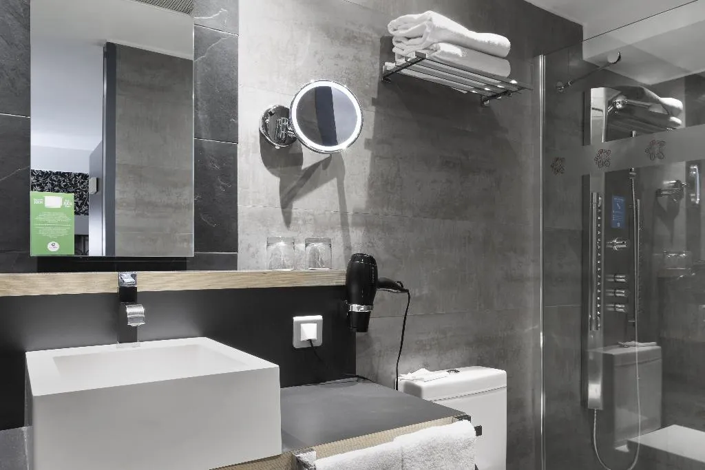 DOUBLE BASIC Room, Petit Palace Plaza Mayor, Madrid