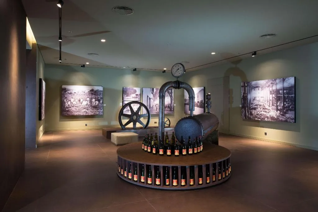 Sports and Entertainment, Saccharum Resort, Madeira