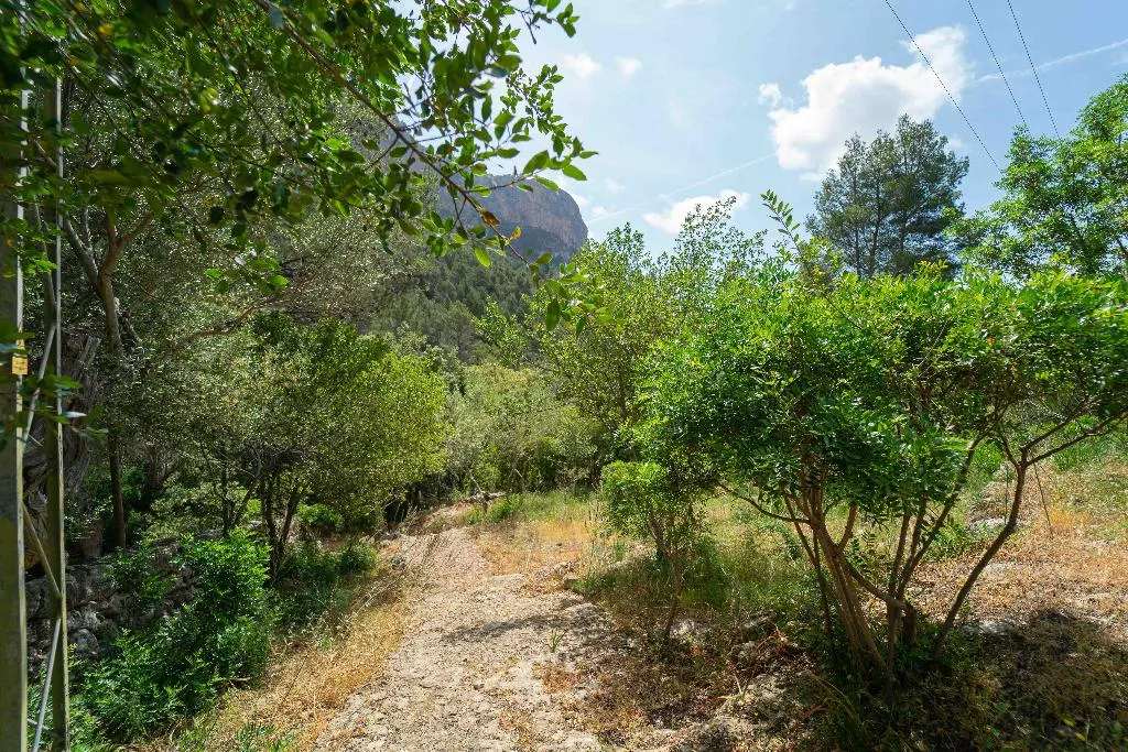 Sports and Entertainment, Hotel Rural S'Olivaret, Majorca