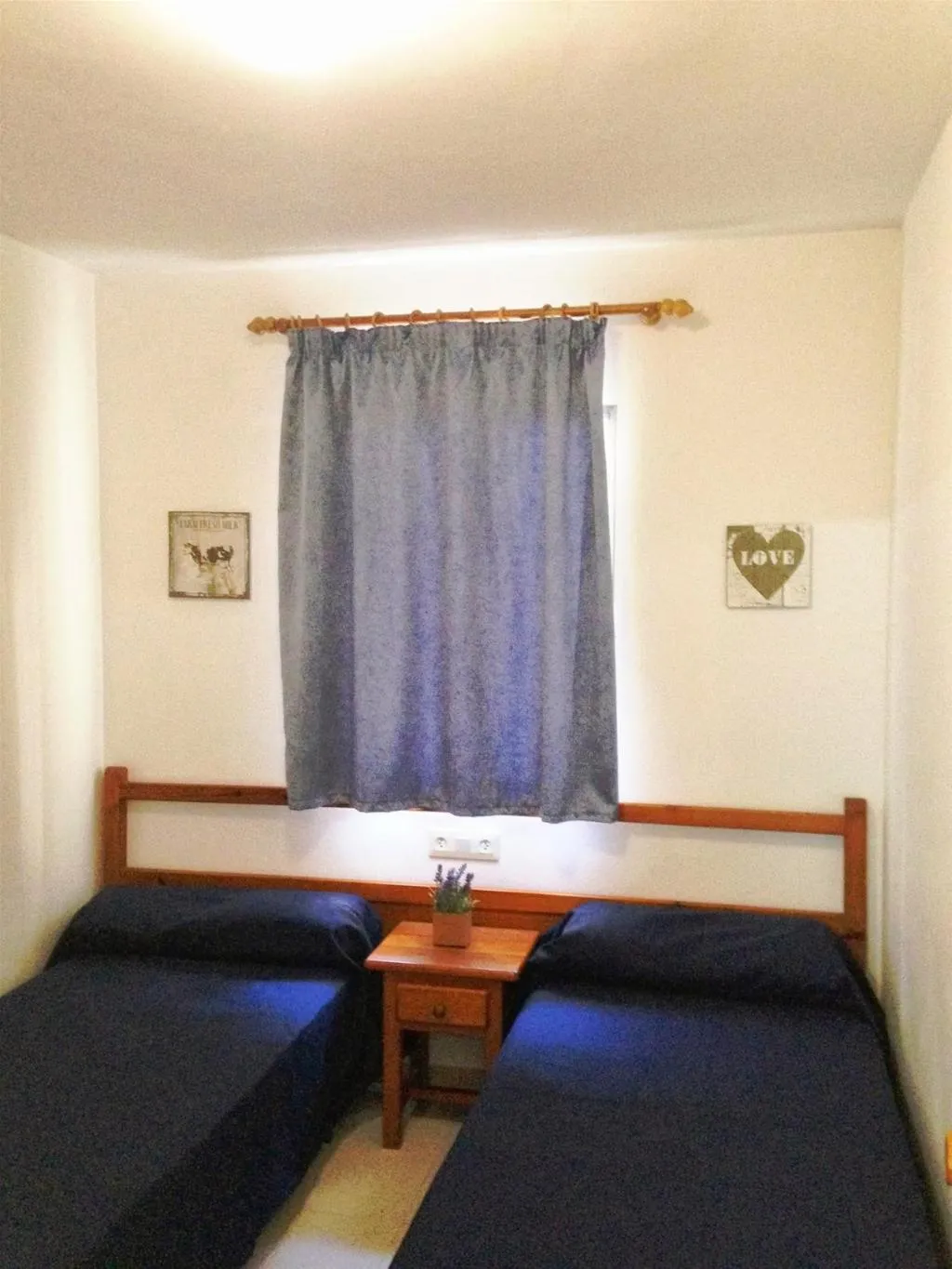 General view, Apartaments AR Botanic, Costa Brava