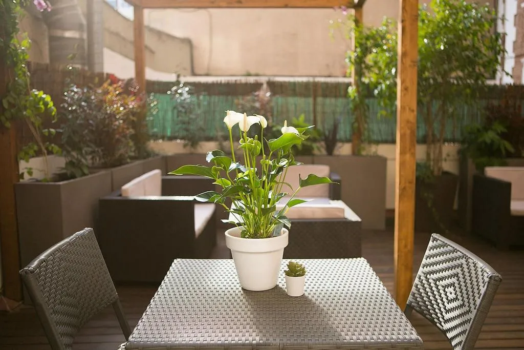Terrace, Blanc Guesthouse, Barcelona