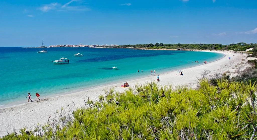 Beach, Aparthotel Isla de Cabrera, Majorca