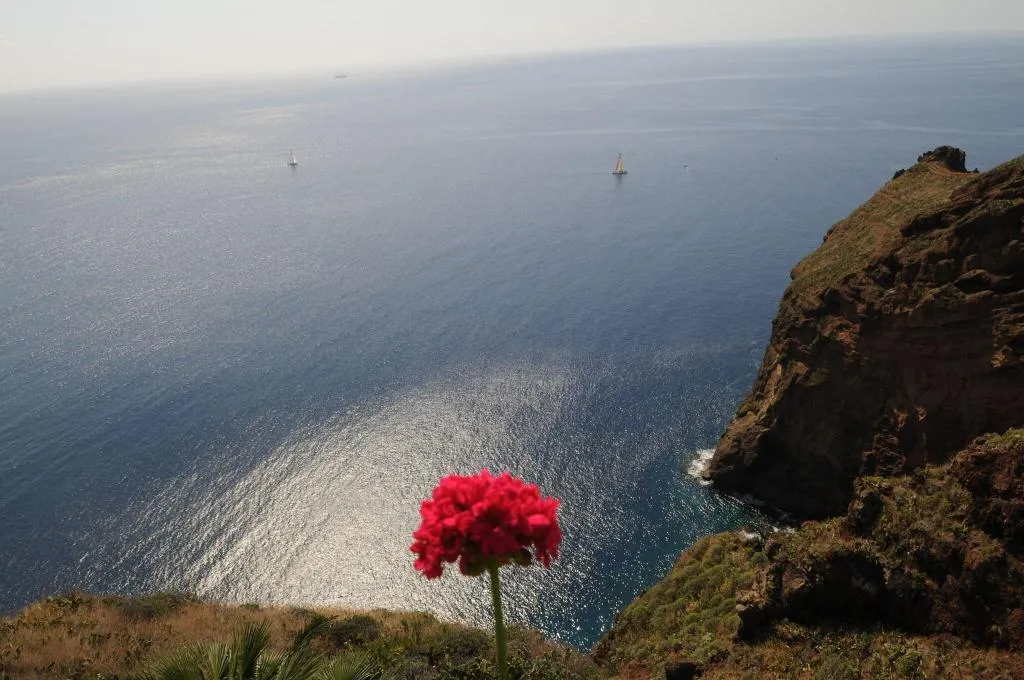 General view, Vivenda Belo Horizonte, Madeira