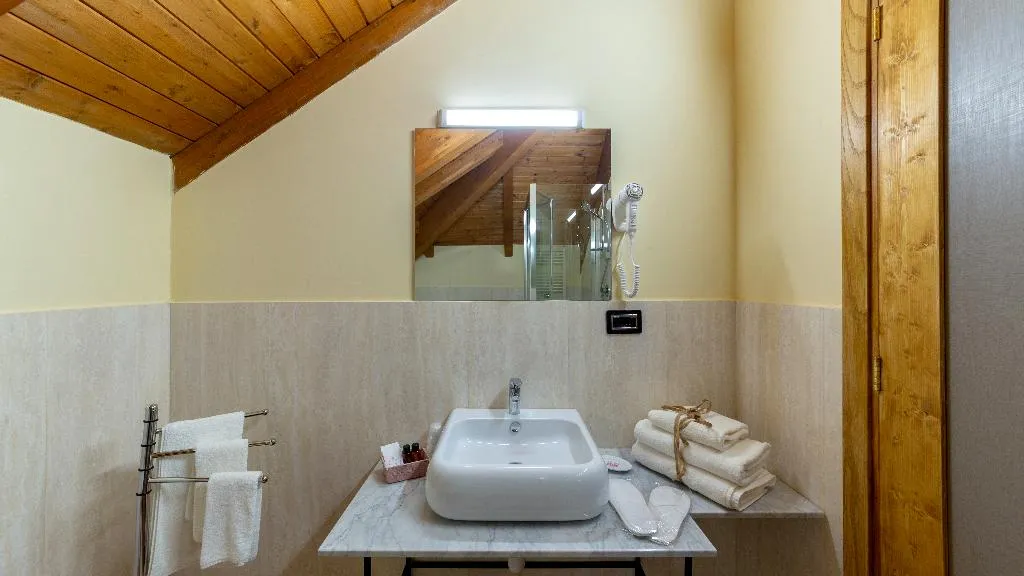 DOUBLE SINGLE USE STANDARD Room, Villa Signorini Hotel, Naples