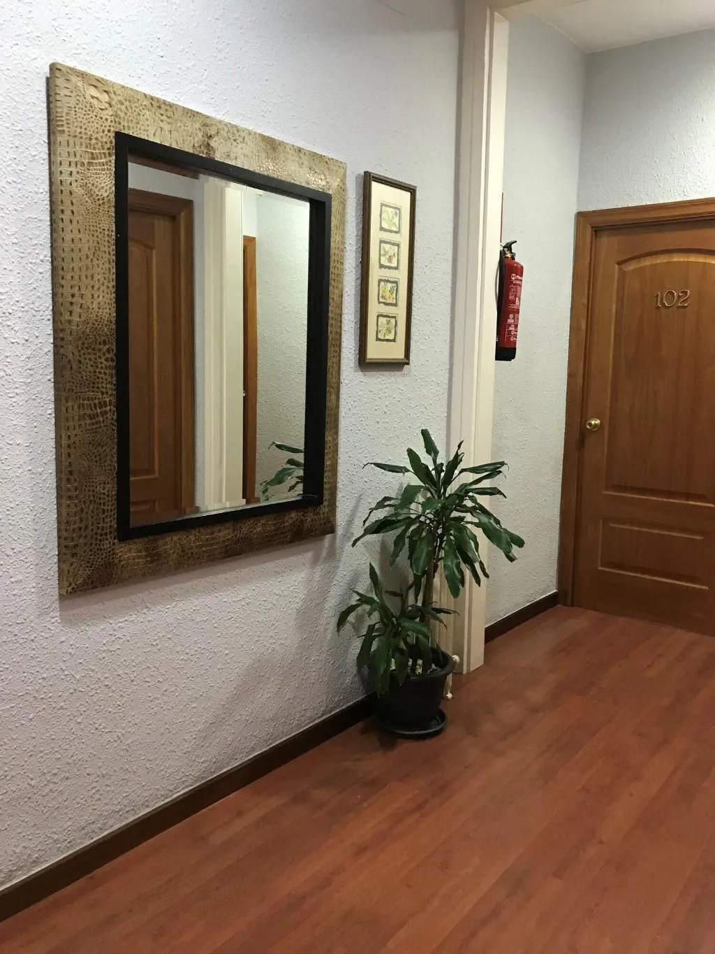 Lobby, Studios Pelayo, Barcelona