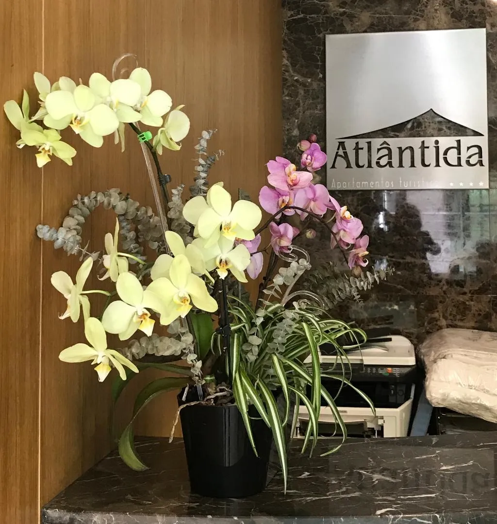 Lobby, Apartamentos Turisticos Atlantida, Madeira