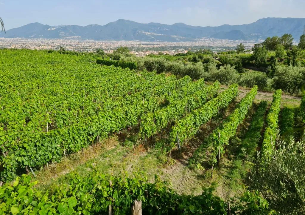 General view, Vesuvio Inn Bed & Wine Experience, Naples