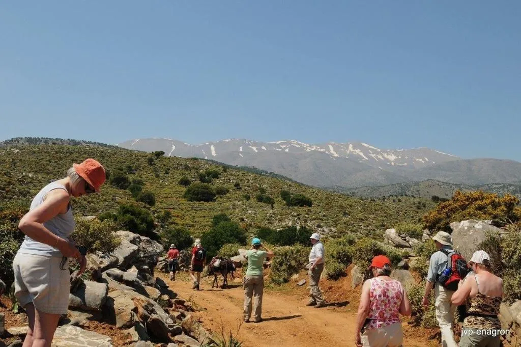 Sports and Entertainment, La Maison Ottomane, Crete