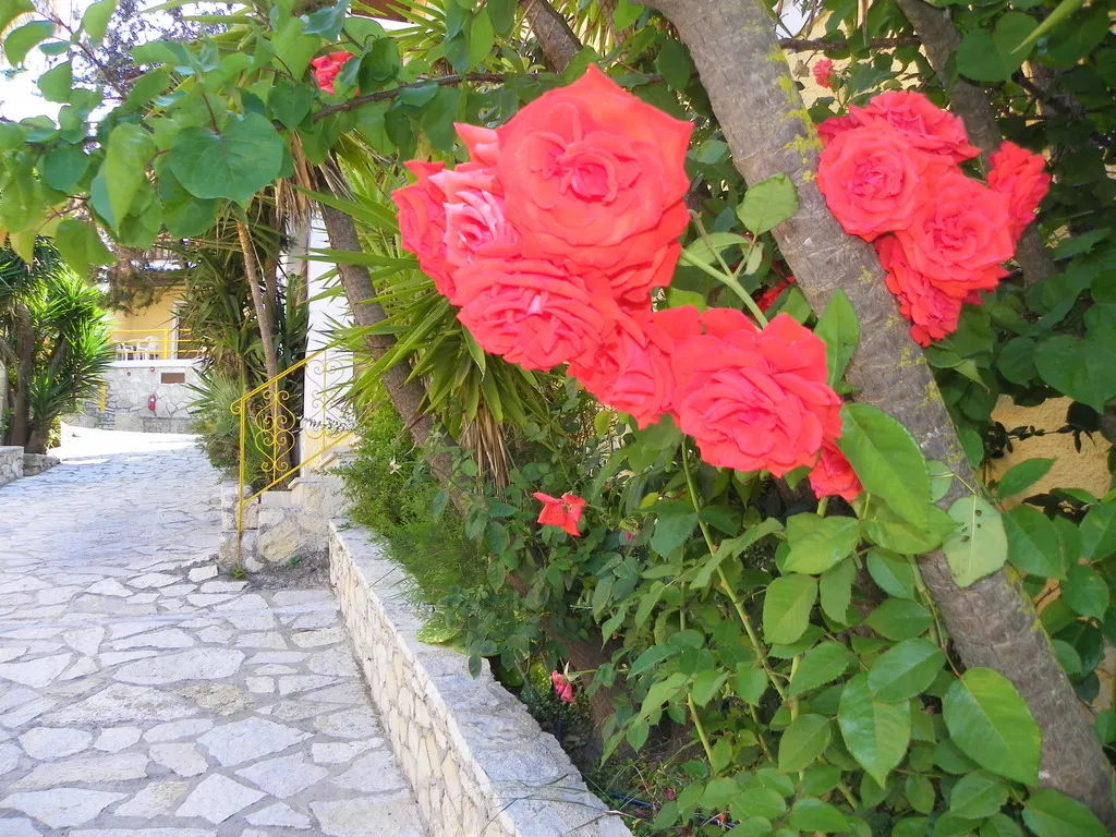General view, Mirabelle Hotel, Zante
