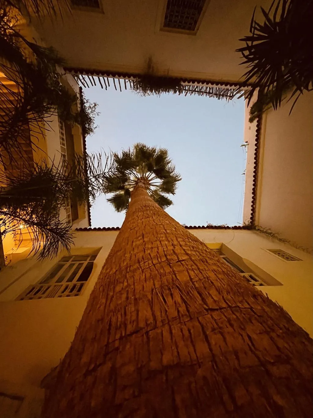 Terrace, Riad 144, Marrakech