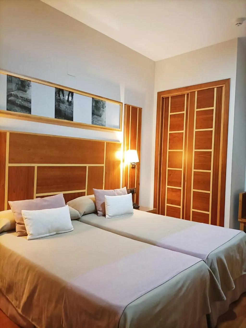 DOUBLE STANDARD Room, Hotel Carmen, Costa Del Sol