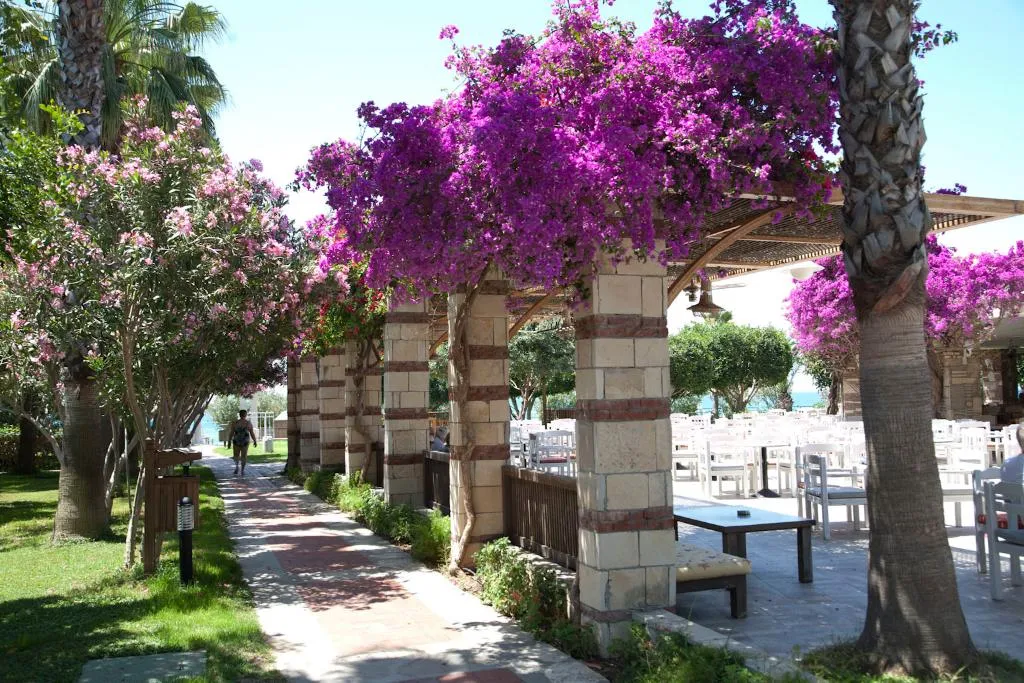 General view, Defne Star, Antalya