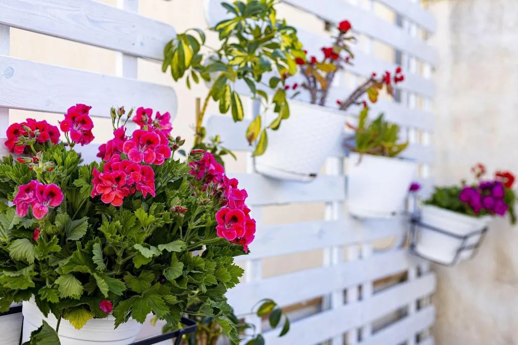 Terrace, Trapani Home, Palermo