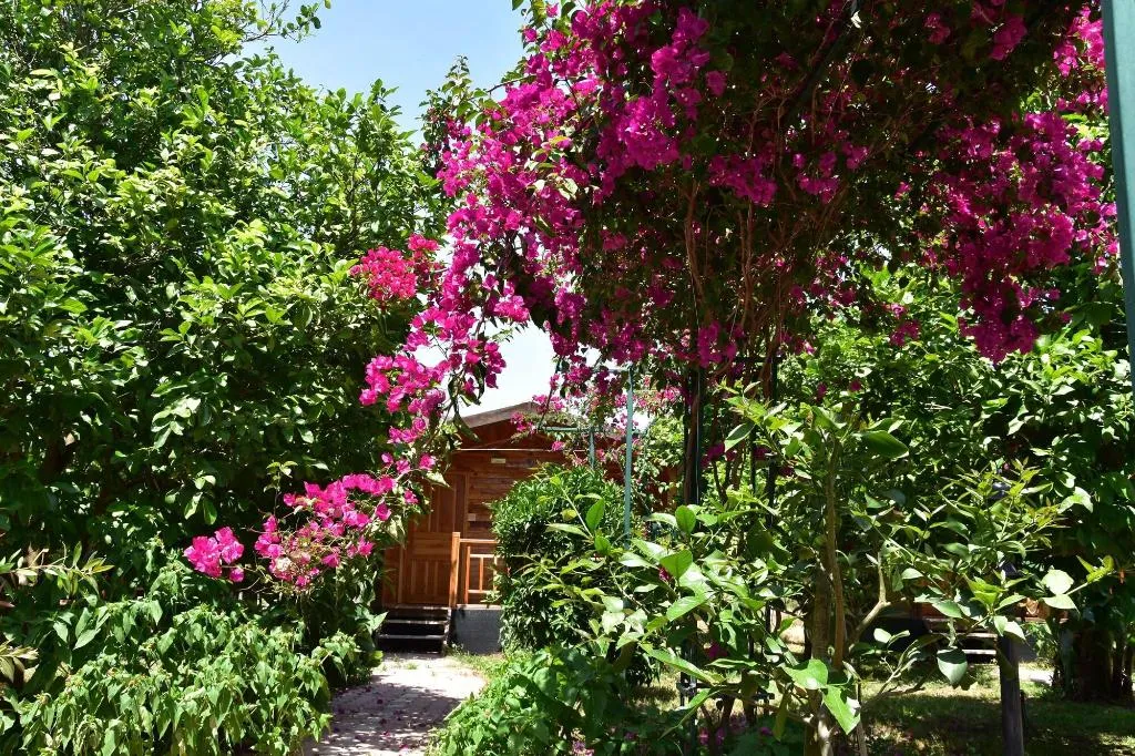 General view, Lemon Garden Lodge, Antalya