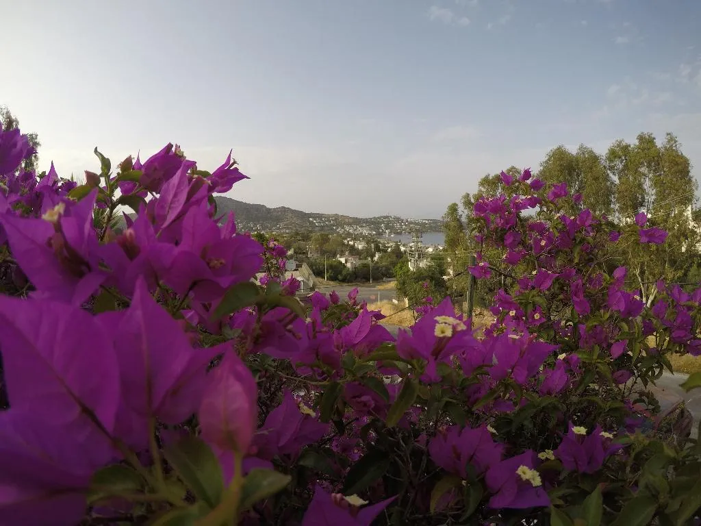 General view, Panorama Hotel Bodrum, Bodrum