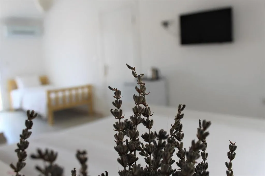 Room, Villamer Hotel Alacati, Izmir